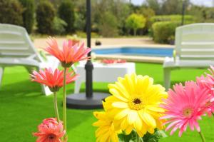 ImagenVilla Mallorca Paradise 3