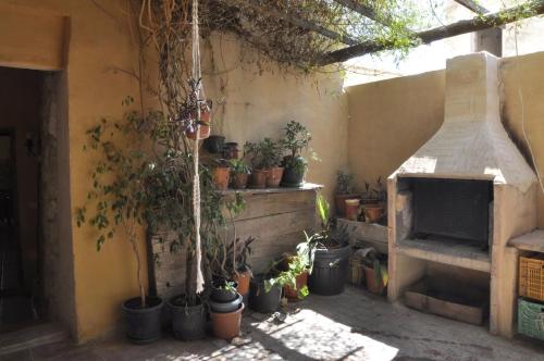 ImagenAljibe de Monastrell 2