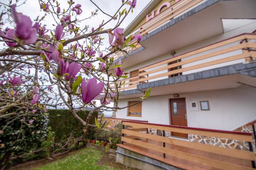 Hotel el Pinarimagen principal