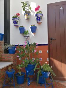 ImagenCasa Rural Patio Rociero 3