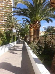 ImagenApartamento PuigVal 9