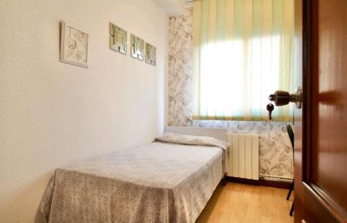 ImagenBelfort Premium 1