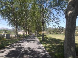 ImagenA&E.Escornalbou 4