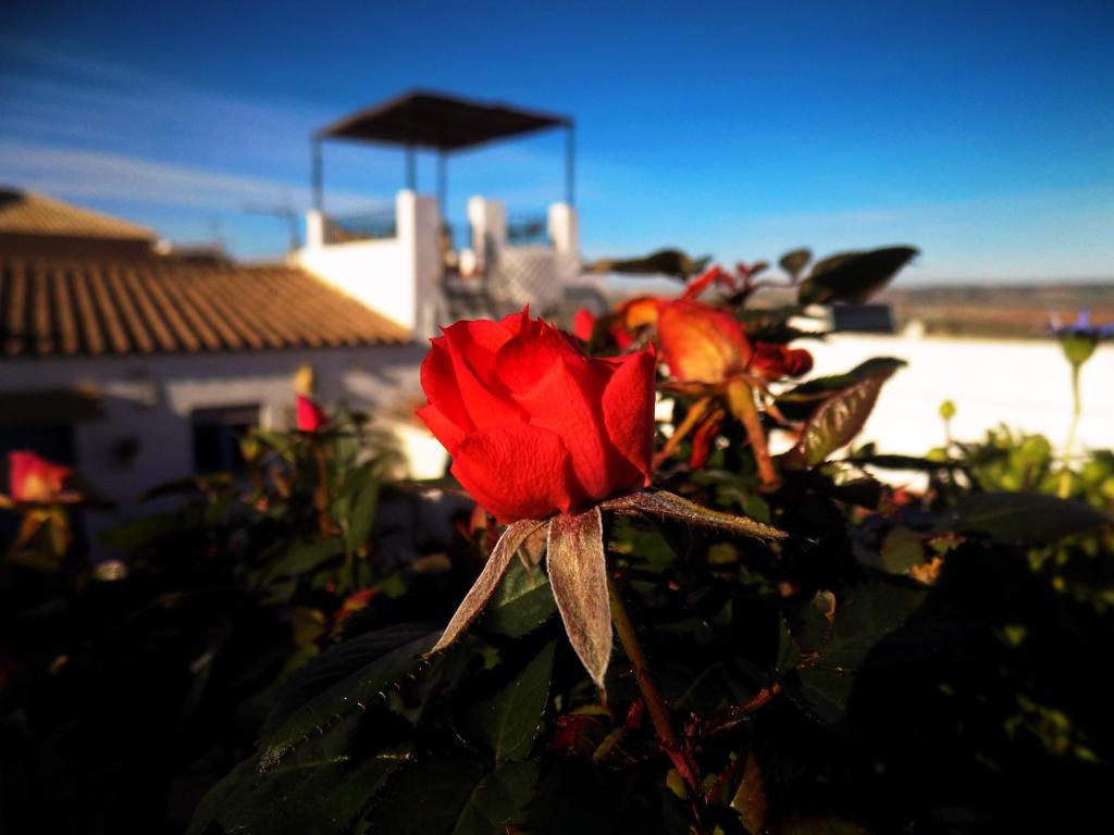 Casa Campanaimagen principal