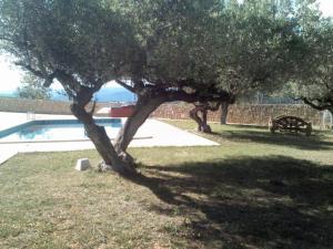 ImagenL'Ermita Casa Ripo 5