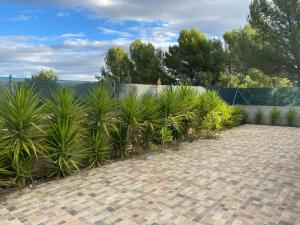 ImagenLa madriguera 6