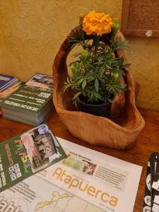 Imagenrestaurante hotel rural papasol 3