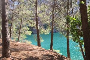 ImagenLAS PALOMAS APPARTEMENT 1 CHAMBRE AVEC PISCINE 4