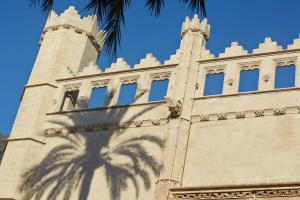 ImagenPalau Sa Font 6