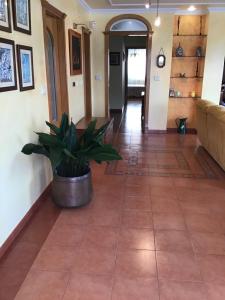 ImagenComplexo Alameda 4