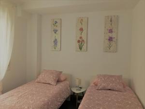 ImagenAyla Camino de Santiago 6