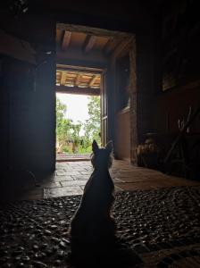 ImagenPosada Restaurante Fuenteplateada 4