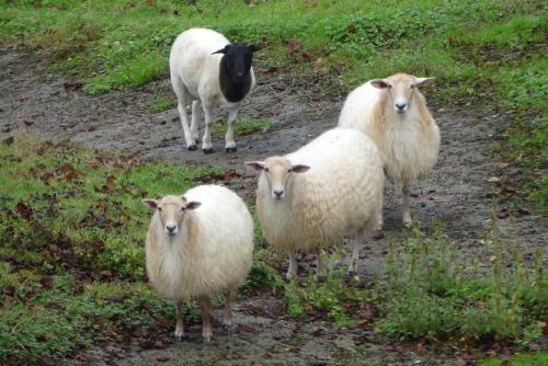 ImagenEn la colina 2 Montañealde 2