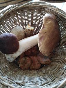 ImagenA casa de Felisa 7