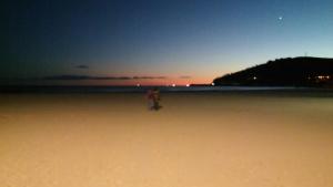 ImagenMarina D'Or Jardines del Mar I 4