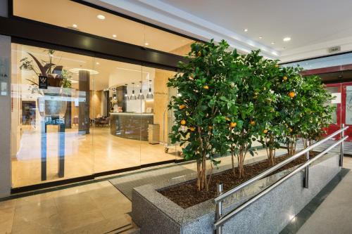 ImagenCatalonia Plaza Mayor Salamanca 2