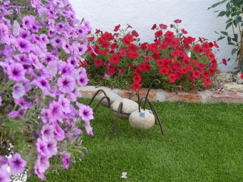 ImagenCasa Rural Julio Vegas 1