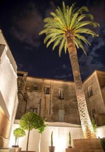 ImagenPalacio Cáceres Deluxe 4