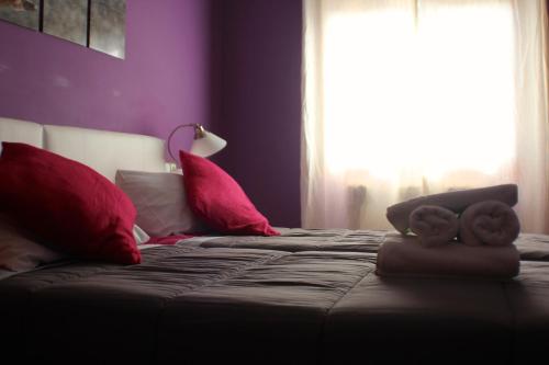 ImagenAllucant - Gallocanta 2