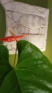 ImagenLas Abadías 6