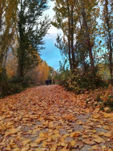ImagenCasa Rural Los Lilos 6