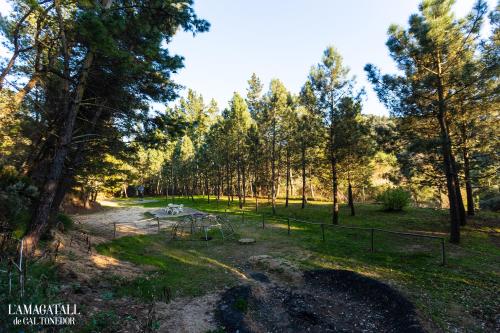 ImagenL'Amagatall de Cal Tonedor 2