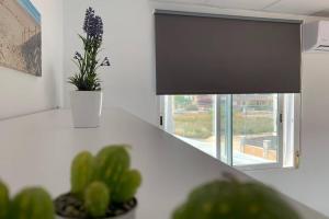 ImagenCasa del Arbol en el Delta del Ebro 5