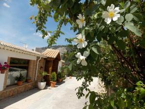 ImagenHotel Rural Puerto Mágina 4