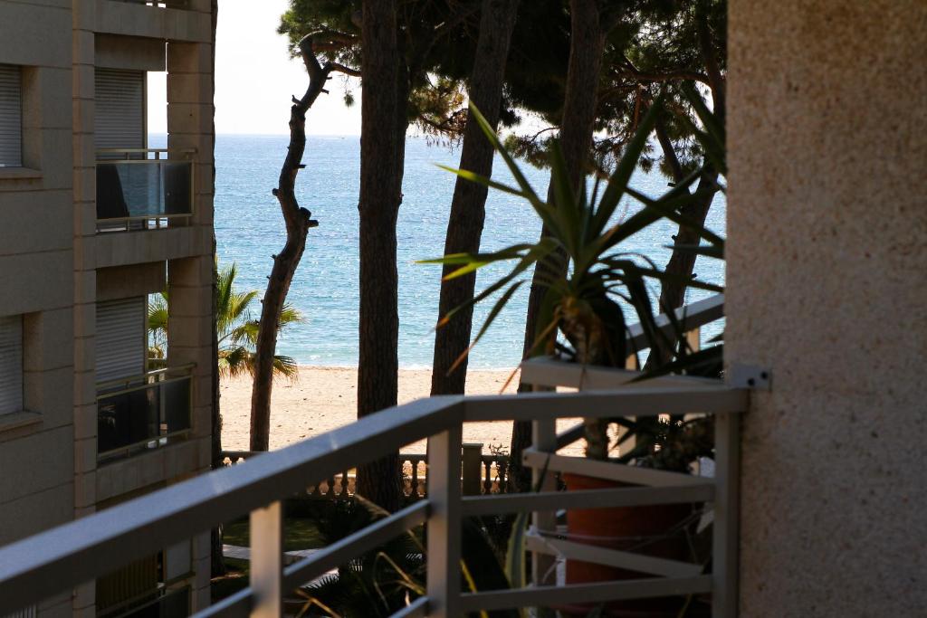 Tucan Planet Costa Doradaimagen principal