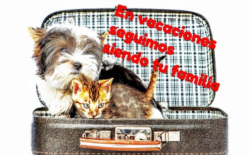 ImagenVilla Oubiña 1