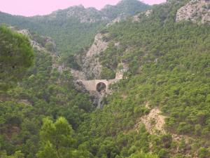 ImagenAljibe de Monastrell 5