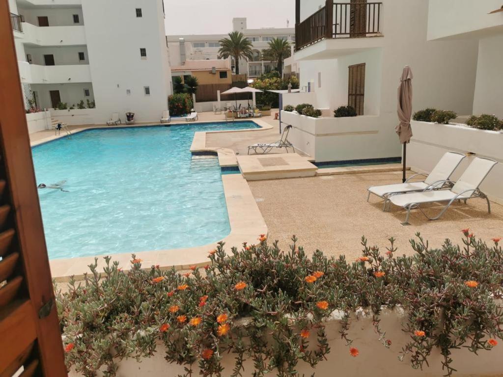 House dorimagen principal