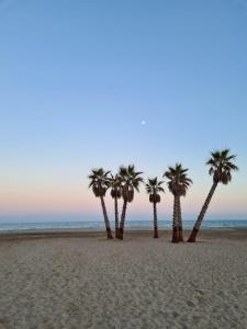 ImagenCasa Coqueta 5