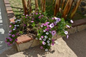 ImagenHostal Casa Torrent 6