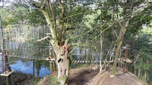 ImagenConjunto Hotelero La Pasera 1