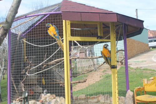 ImagenEl Puntual de Romillo Hostel 2