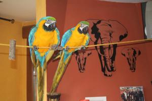 ImagenEl Puntual de Romillo Hostel 5