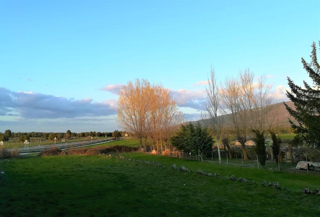 La Cercaimagen principal