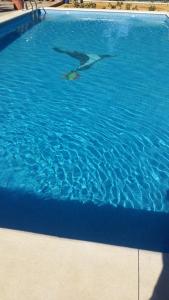 ImagenRelaxing Home 3