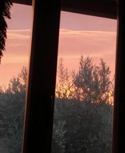 ImagenCasa La Colina Mandarina II Casa de madera 4