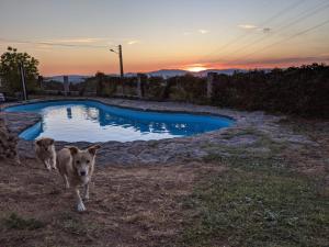 ImagenA Porteliña 7