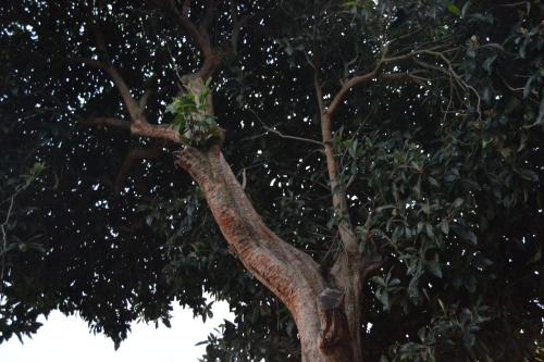 ImagenO Prado do Forno 2