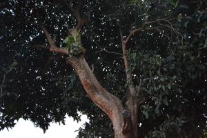 ImagenO Prado do Forno 4