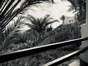 ImagenLa Almendra y El Gitano 4