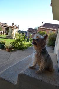 ImagenAmanecer en Campos 3