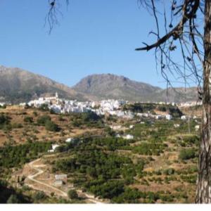 ImagenCasa las tres Conchas (2) 8