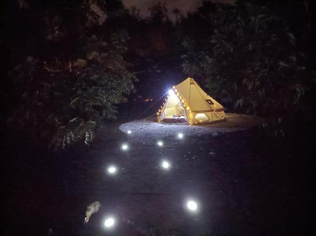 Jardin de Karlitosimagen principal