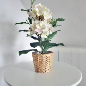 ImagenCasa las tres Conchas 8