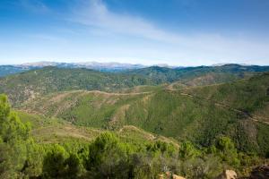 ImagenLa marikilla 4