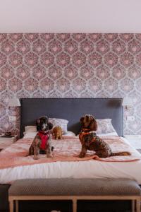 ImagenHotel Boutique Pinar 3